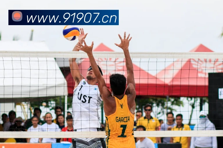 App Interface Preview